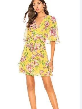 BCBGMAXAZRIA Mabel Floral Dress in the Bamboo Combo colorway size 0 NWOT